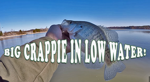 Big Crappie in Low Water with Richard Gene and my724outdoors