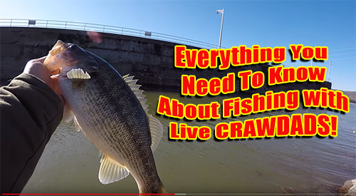 Fishing with Live Crawdads with Richard Gene and my724outdoors