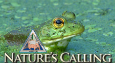 Nature's Calling Video Magazine Jan. 2020 with MoConservation and my724outdoors.com!﻿