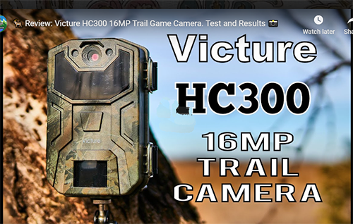 Victure HC300 Game Cam Test and Results with Jungle Explorer and my724outdoors