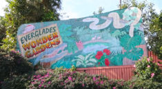 Journey Through the Everglades with the Carpetbagger and my724outdoors.com!