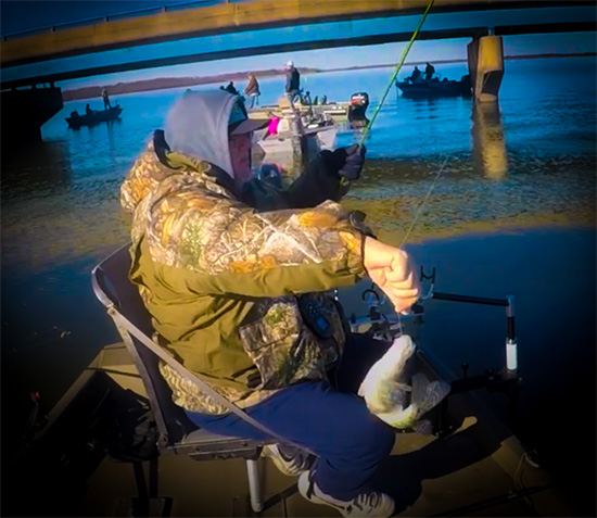 Rend Lake Crappie Action with PFGFishing and my724outdoors.com!