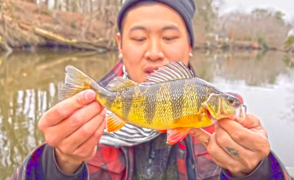 Tiny-Minnows-VS-Micro-Shrimps-for-Perch-with-Hey-Skipper-and-my724outdoors.com!