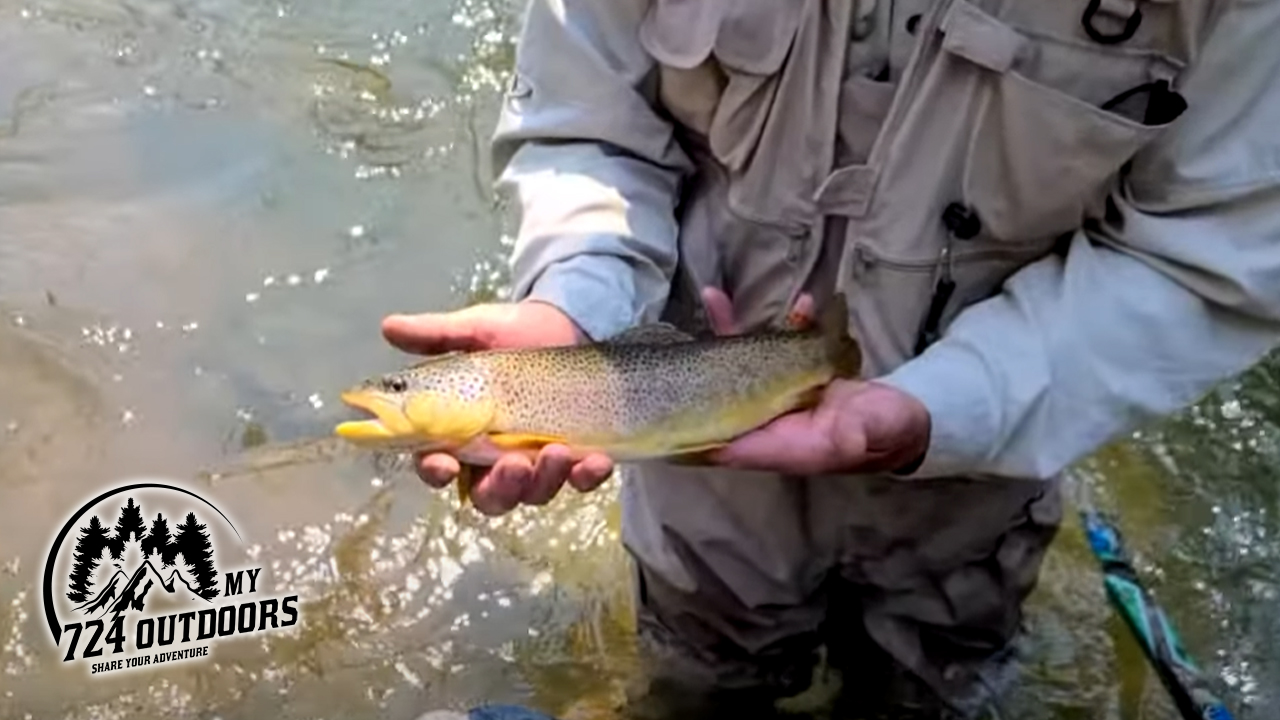 Fly Fishing for BIG TROUT in Colorado with Uneven Terrain Outdoors and my724outdoors.com!