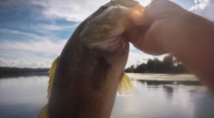 Catch-LOADS-Of-Bass-with-Richard-Gene-the-Fishing-Machine-and-my724outdoors.com