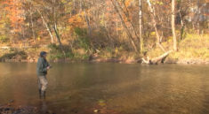 Tips For Fishing An Ozarks Stream In The Fall with MoConservation and my724outdoors