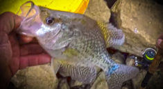 Bank Fishing For Loads of Crappie with Richard Gene and my724outdoors.com!