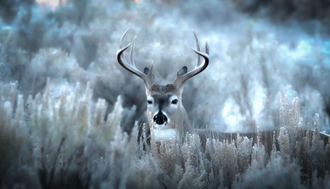 Deer Season Preview North Dakota with NDGNF and my724outdoors.com!