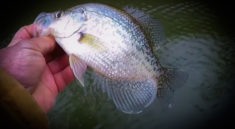 Catch More Crappie With These KEY Tips with Richard Gene the Fishing Machine and my724outdoors.com!