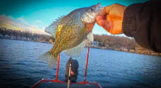 Using Jerkbaits for Winter Crappie Fishing with Mike Baker and my724outdoors.com!Using Jerkbaits for Winter Crappie Fishing with Mike Baker and my724outdoors.com!