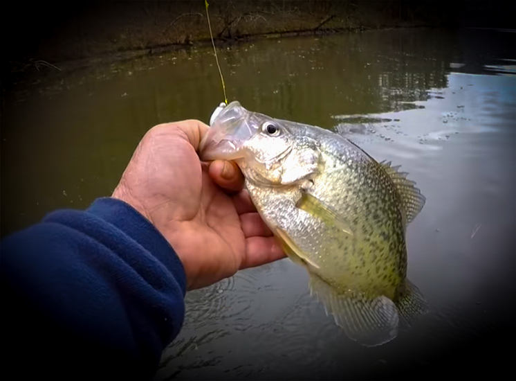 Crappie Fishing SECRET! with Richard Gene THE Fishing Machine and my724outdoors.com!
