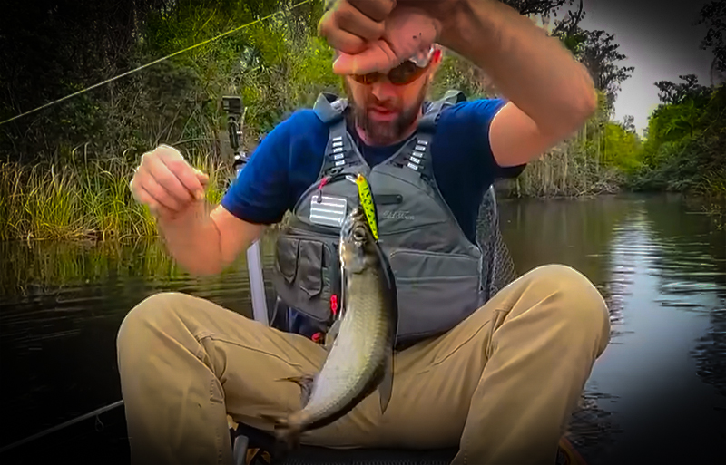 Everglades River Fishing with Creek fishing Adventures and my724outdoors.com!