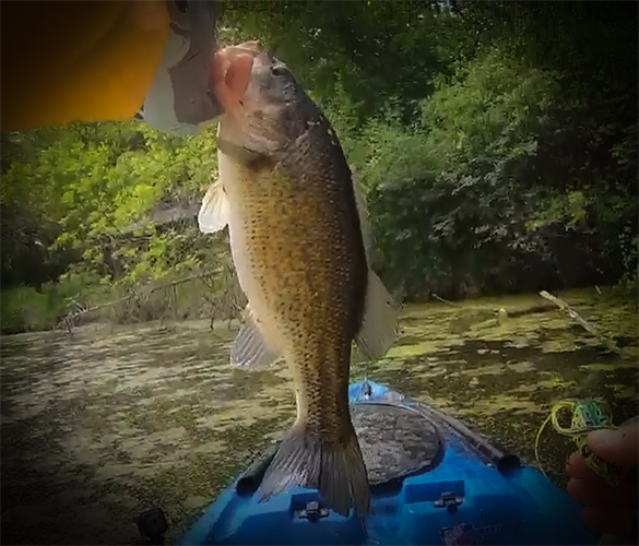 Kayak Fishing for Bass with Midwest Bass Hunter and my724outdoors.com!