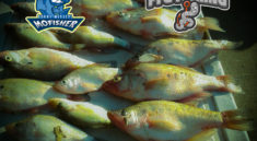 Rend Lake Crappie Fishing with MoFisher PFGFishing and my724outdoors.com!