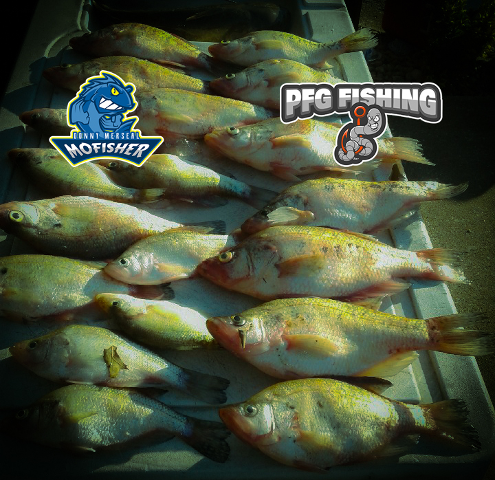 Rend Lake Crappie Fishing with MoFisher PFGFishing and my724outdoors.com!