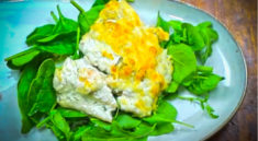 Baked Parmesan Rockfish Recipe with Alaska Department of Fish and Game and my724outdoors.com!