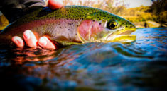 Catch and Keep Trout Season Starts Today with MoConservation and my724outdoors.com!