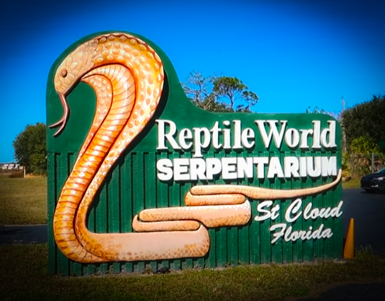 Exciting-Day-at-Reptile-World-Serpentarium-and-Airboat-Ride-with-The-Carpetbagger-and-my724outdoors.jpg
