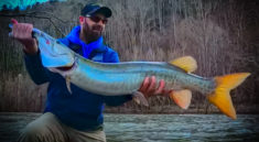 Huge Musky Caught in The River with Creek Fishing Adventures and my724outdoors.com!
