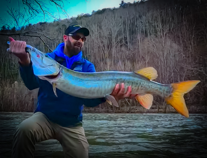Huge Musky Caught in The River with Creek Fishing Adventures and my724outdoors.com!