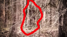 Did He Have a Bigfoot Sighting While Fishing This Mountain Stream with Creek Fishing Adventures and my724otudoors.com!