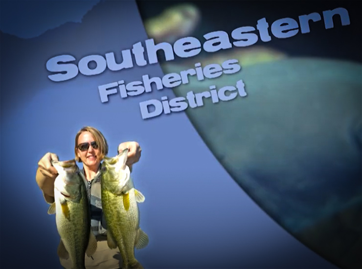 The Fishing is heating up! Kentucky Fishing Report March 24 2022 with KYAfield and my724outdoors.com