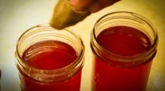 Make Delicious Redbud Jelly with MoConservation and my724outdoors.com!
