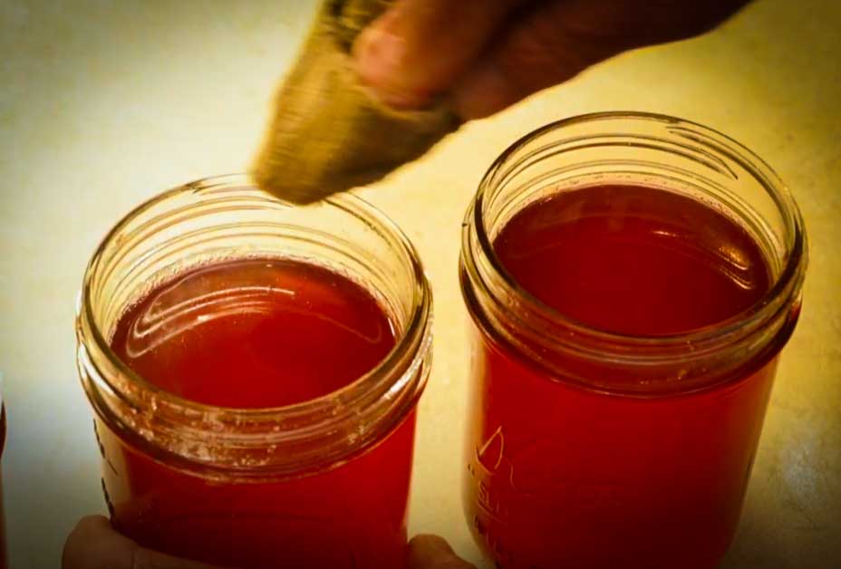 Make Delicious Redbud Jelly with MoConservation and my724outdoors.com!