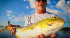Unbelievable Shrimping and Fishing in Florida - St Johns River with Backwoods Florida Adventures and my724outdoors.com!