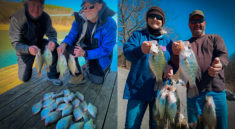Wow The Crappie Fishing Is Crazy At Norfork Lake with Lou of Hummingbird Hideaway Resort and my724outdoors.com!
