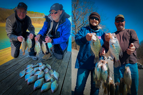 Wow The Crappie Fishing Is Crazy At Norfork Lake with Lou of Hummingbird Hideaway Resort and my724outdoors.com!