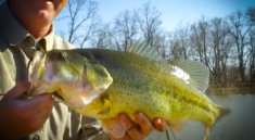 Bass Fishing, Trout Fishing, Patterning Turkey Shotguns and More in This Week's Kentucky Outdoors with KYAfield and my724outdoors.com!