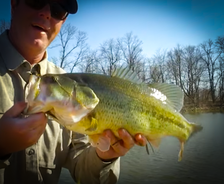 Bass Fishing, Trout Fishing, Patterning Turkey Shotguns and More in This Week's Kentucky Outdoors with KYAfield and my724outdoors.com!