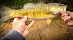 Insane Smallmouth Fishing in a Small Creek with Creek Fishing Adventures and my724outdoors.com!