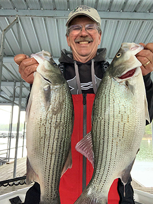 Norfork Lake Continues To Be On Fire - Now Is The Time To Get Your Spring Fishing Fix with Hummingbird Hideaway Resort and my724outdoors.com!