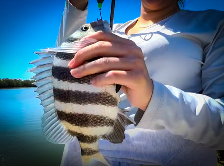 Saltwater Fishing For Anything That Bites with Hey Skipper and my724outdoors.com!