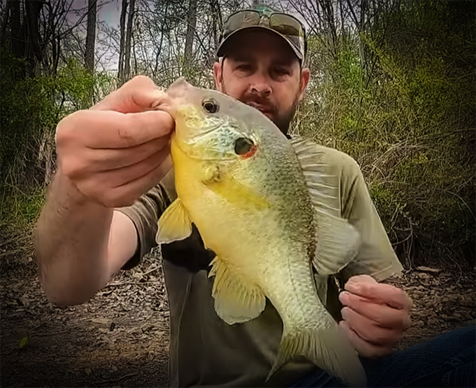 When You Hit the Creek To Catch Anything and End Up with a PB Sunfish! with Creek Fishing Adventures and my724outdoors.com!
