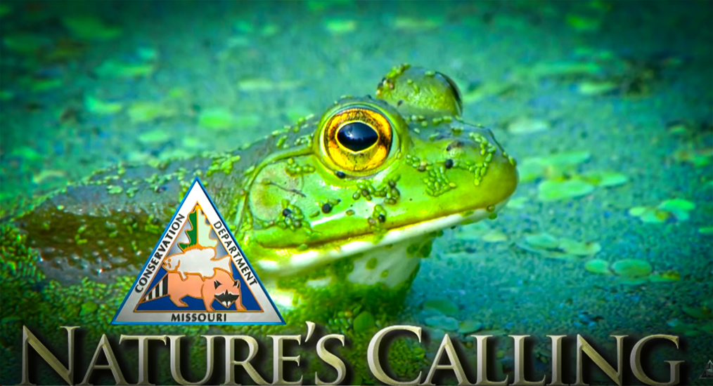 Nature's Calling Video Magazine For May is Full Of Helpful Tips and Ideas with MoConservation and my724outdoors.com!