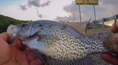 The Secret to Catching Lots of Crappie Fishing From the Bank with Richard Gene the Fishing Machine and my724outdoors.com!