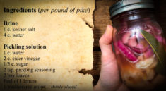 This Pickling Northern Pike Recipe is Simply Delicious with NDGFD and my724outdoors.com!