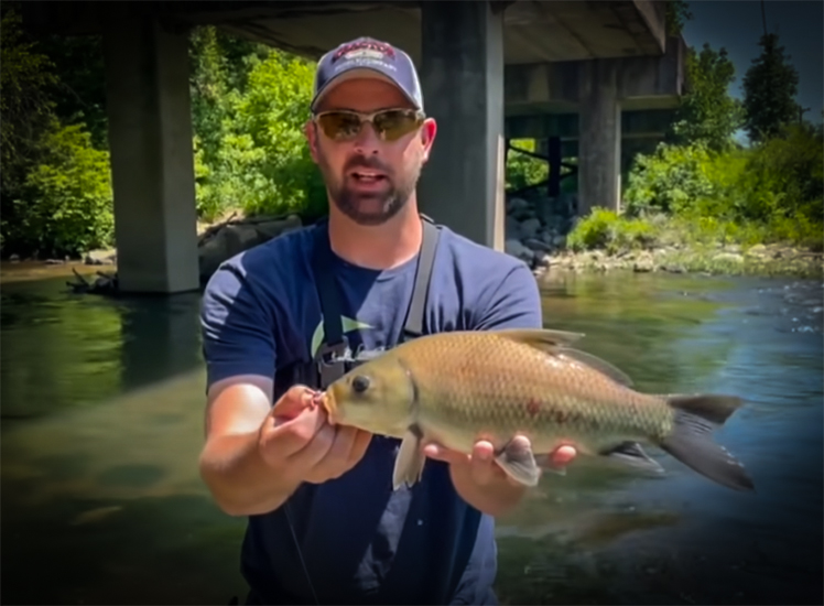 Back To Basics Fishing Brings in Surprising Results with Creek Fishing Adventures and my724outdoors.com!