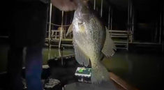 Finding Big Fish at Night on Table Rock Lake with Fishinwithkolten and my724outdoors.com!