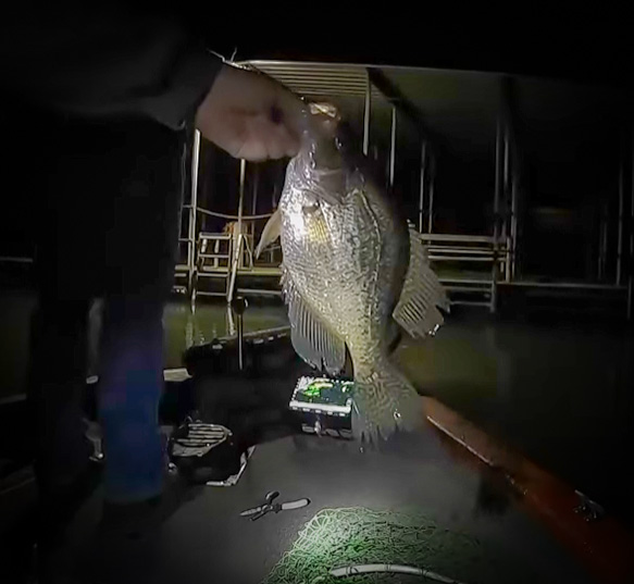 Finding Big Fish at Night on Table Rock Lake with Fishinwithkolten and my724outdoors.com!