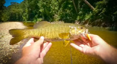 See Why Small Creek Fishing Makes For THE BEST Days In Summer with Creek Fishing Adventures and my724outdoors.com!