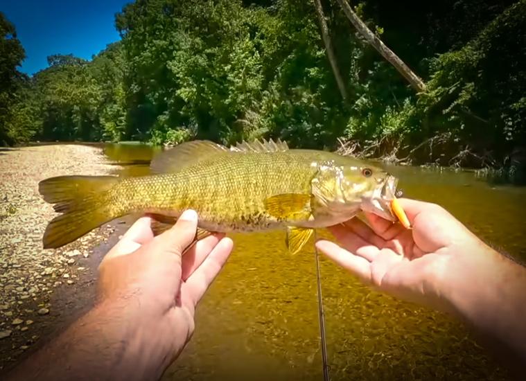 See Why Small Creek Fishing Makes For THE BEST Days In Summer with Creek Fishing Adventures and my724outdoors.com!