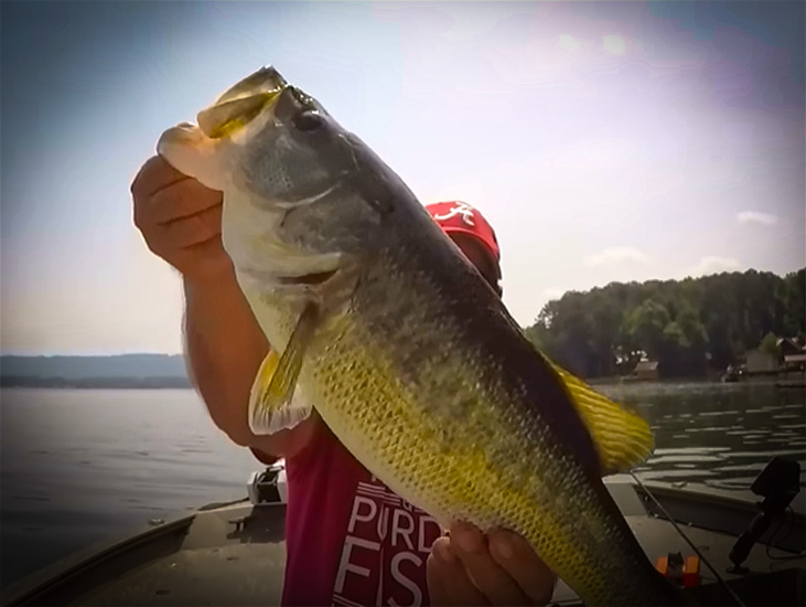 You Can Catch A Lot Of Largemouth Bass Quick By Doing This with RICHARD GENE the Fishing Machine and my724outdoors.com!