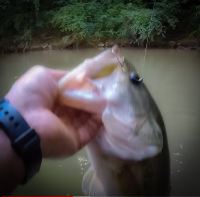 You Won't Believe The Massive Fish Richard Gene Caught In This Tiny Creek! with Richard Gene The Fishing Machine and my724outdoors.com!