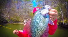 ABSOLUTELY LOAD The Boat With THESE KEY Crappie Fishing Tips! with Richard Gene the Fishing Machine and my724outdoors.com!