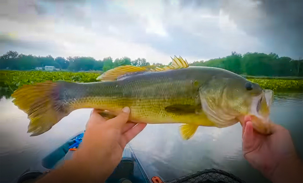 Bass Fishing Canals and Ditches For Big Bass In Indiana with Creek Fishing Adventures and my724outdoors.com!
