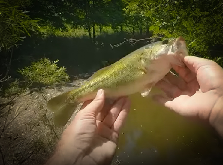 Fishing a Random Rest Area Creek In Ohio Turns Up Tons of fish with Creek Fishing Adventures and my724outdoors.com!